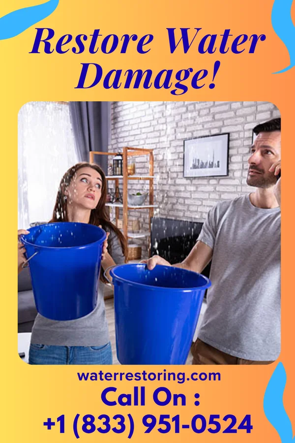 water restoration Ace Water Mitigation Services Braddock