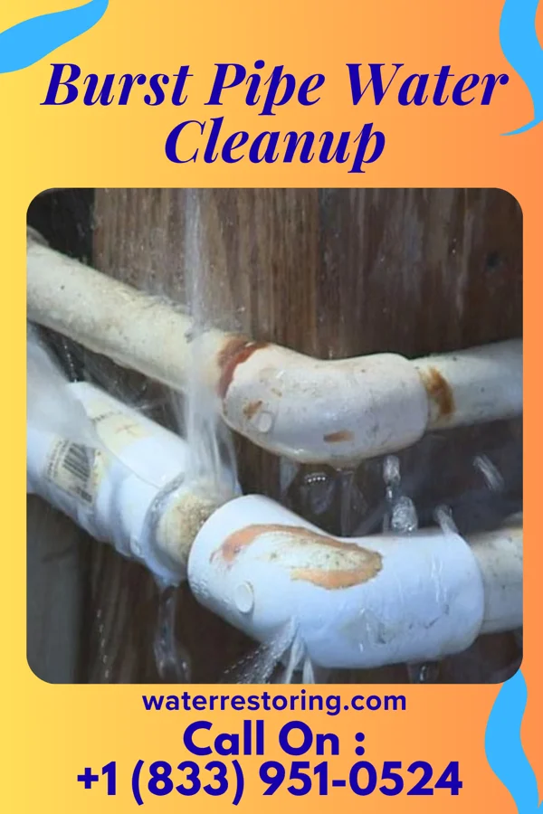 Burst Pipe Water Cleanup in Braddock, PA