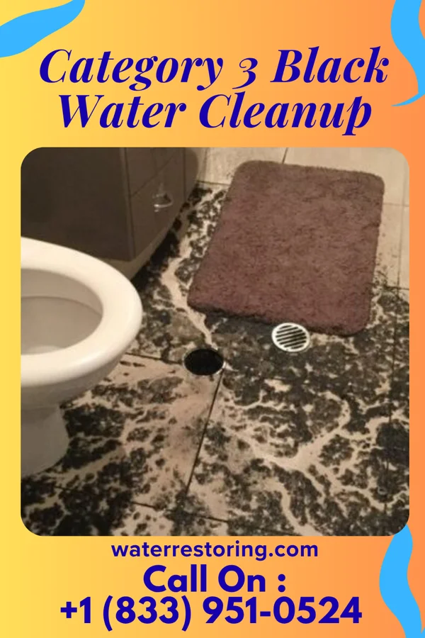 Category 3 Black Water Cleanup in Braddock, PA
