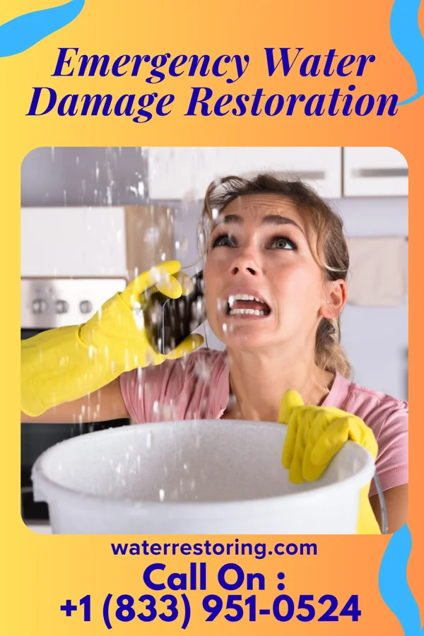 Emergency Water Damage Restoration in Braddock, PA