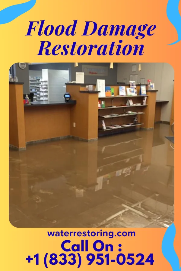 Flood Damage Restoration in Braddock, PA