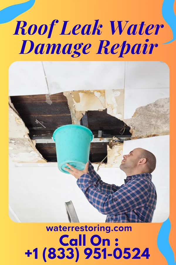 Roof Leak Water Damage Repair in Braddock, PA