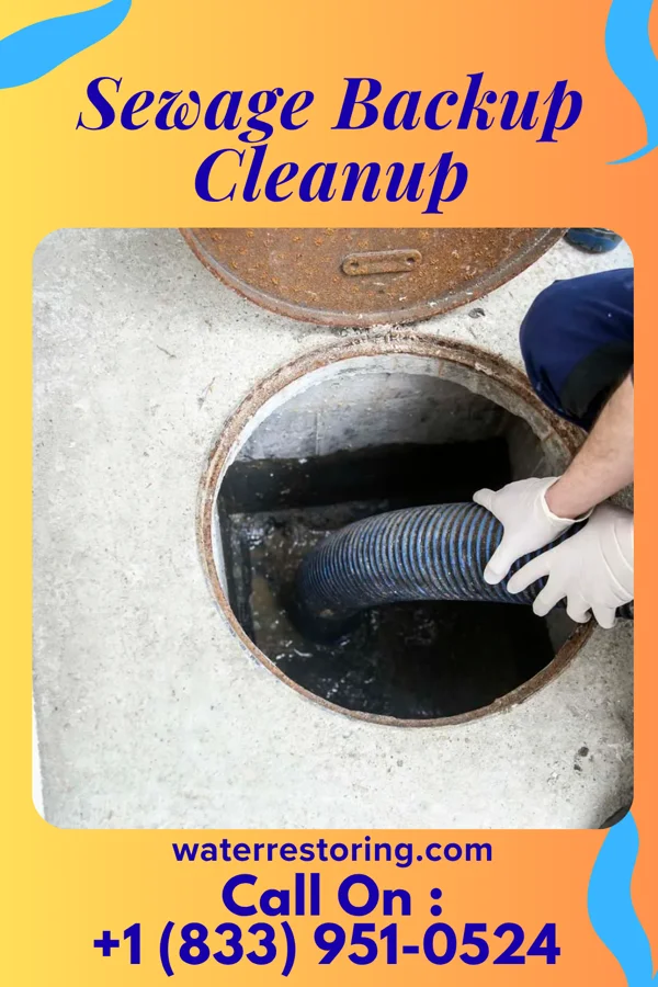 Sewage Backup Cleanup in Braddock, PA