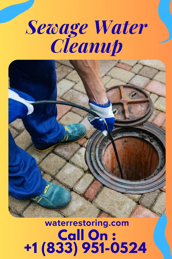 Sewage Water Cleanup in Braddock, PA