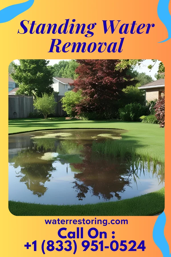 Standing Water Removal in Braddock, PA